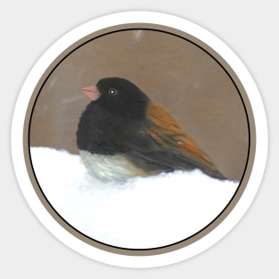 Dark-Eyed Junco Sticker